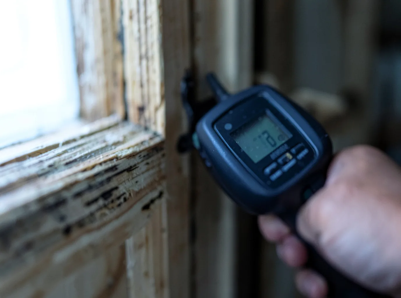 Water Damage Restoration Edmonds, WA FAQs